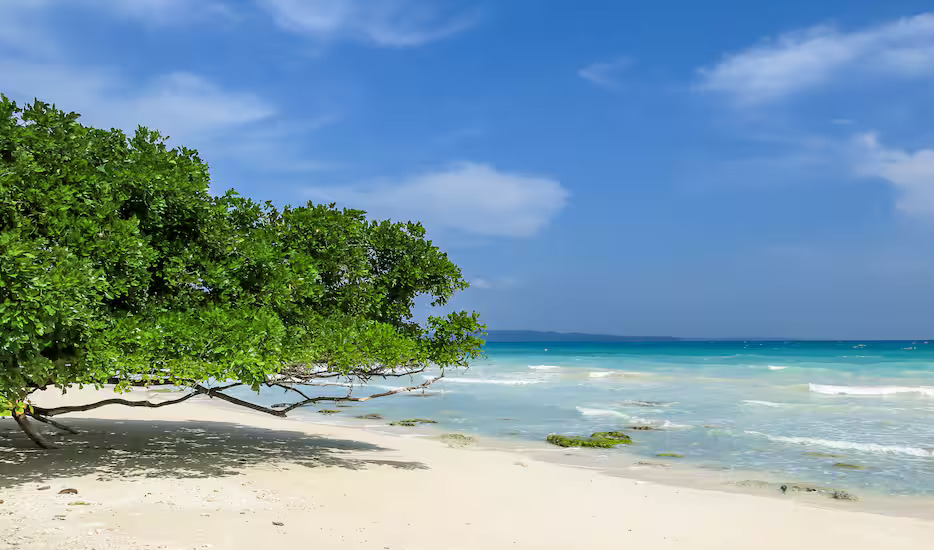 Andaman Delights: A Journey To Pristine Beaches And Rich Culture