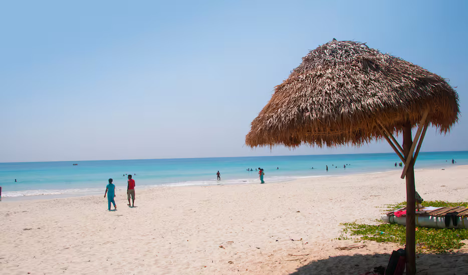 Island Escapade: Discovering Andaman's Treasures