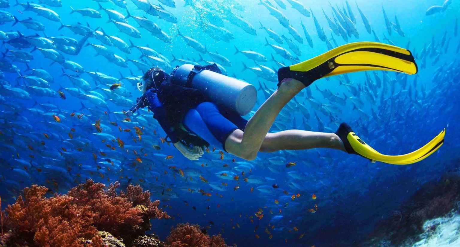 About BookingAndaman.in